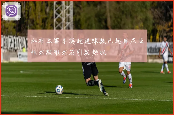 加布本赛季英超进球数已超库尼亚帕尔默维尔茨引发热议