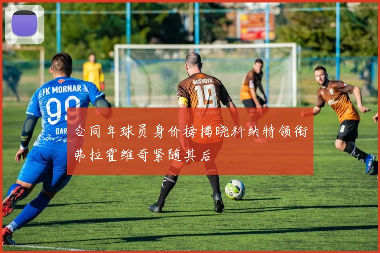 合同年球员身价榜揭晓科纳特领衔弗拉霍维奇紧随其后