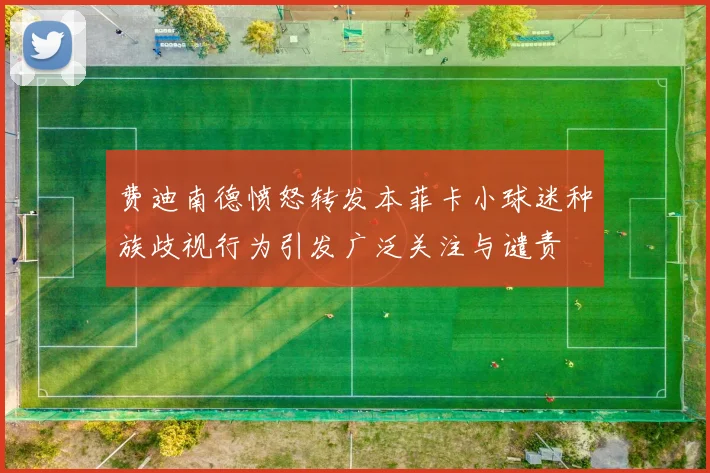 费迪南德愤怒转发本菲卡小球迷种族歧视行为引发广泛关注与谴责