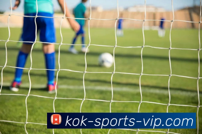 KOK体育平台生态图